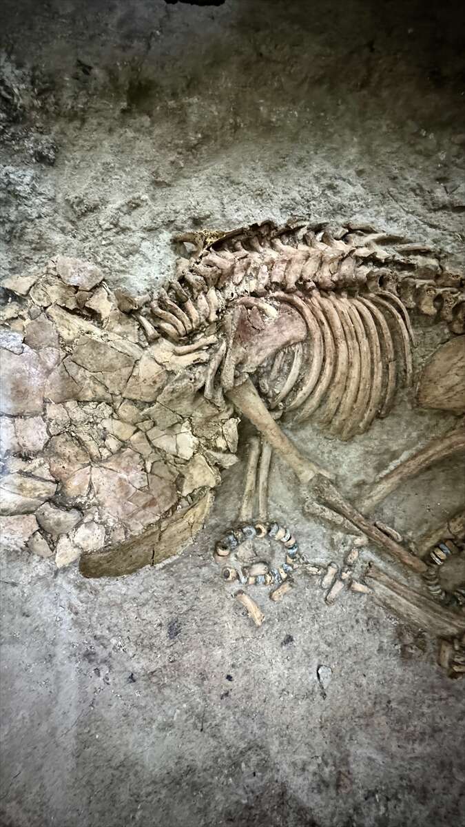 Konya’nın 9 bin yıllık sırları gün yüzüne çıktı! Paha biçilemeyenler de var 4